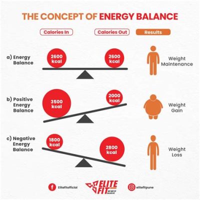  Energy Balance:  재미있게 에너지 균형 이해하는 과학 게임!